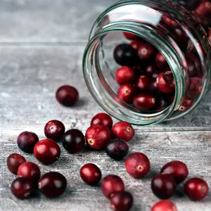 Spiced Cranberry Fragrance Oil