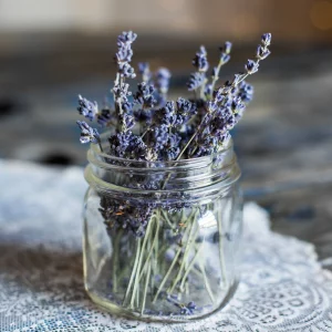 True Lavender Fragrance Oil